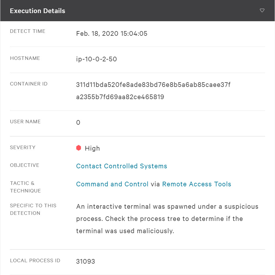 execution details in the falcon platform